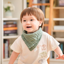 Load image into Gallery viewer, Muslin Bandana Bibs Pack of 2
